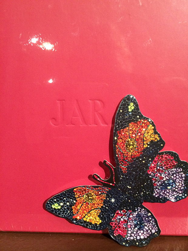 Catalogandpaperbutterfly