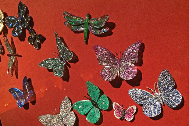 Butterfly wall at Jewels by Jar retrospective at the Metropolitan Museum of Art. Photo by Cheryl Kremkow.