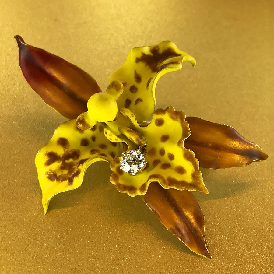 Tiffany Orchid Brooch designed by Paulding Farnham from Veronique Bamps, photo by @kremkow