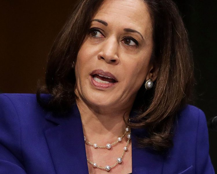 Kamala Harris wears a pearl tin cup necklace