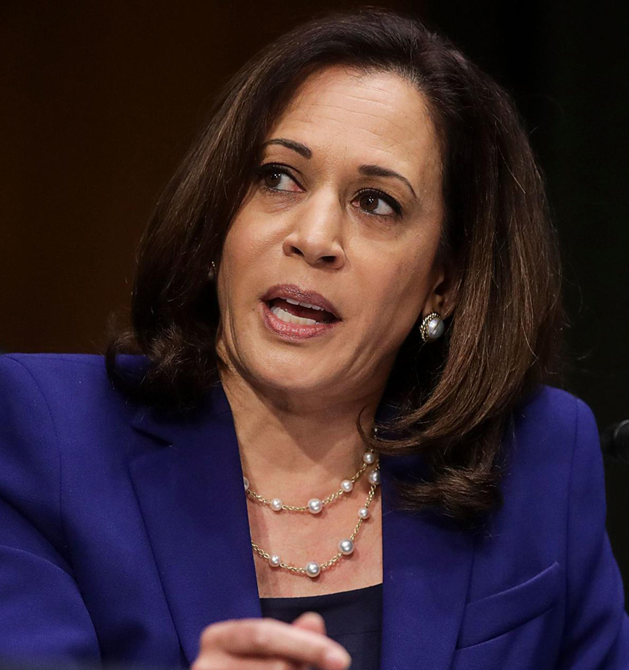 Kamala Harris wears a pearl tin cup necklace