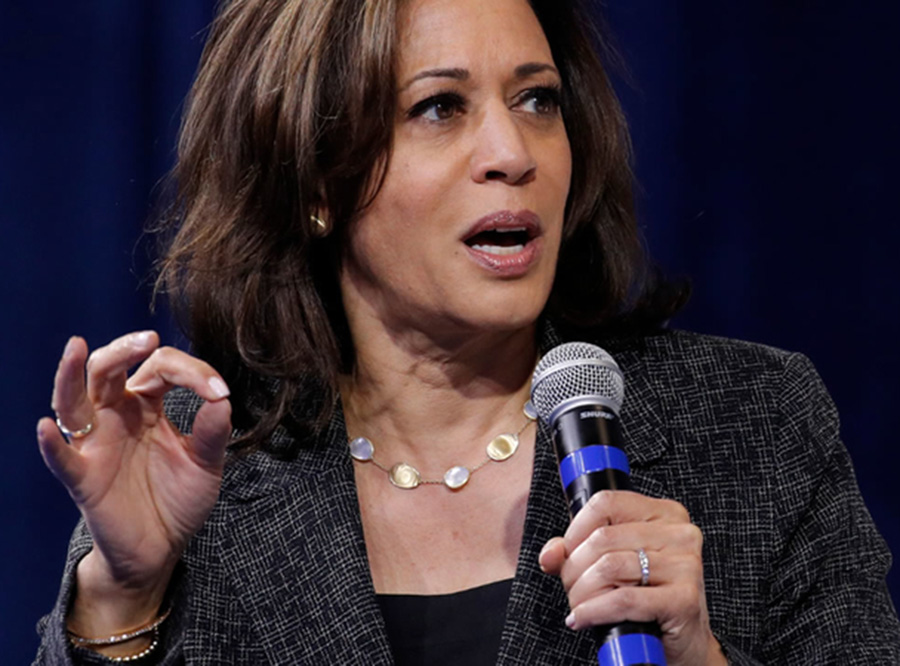 Kamala Harris wears a Marco bicego style necklace